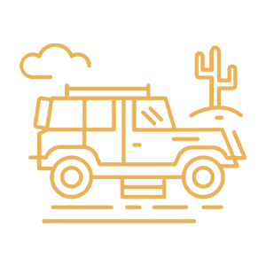Desert Safari Experiences